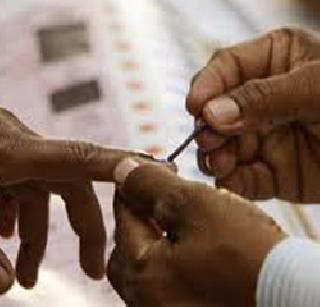 Voting in the Palghar | पालघरात भरघोस मतदान