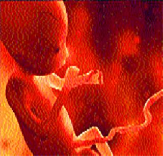 Female breed fetus found in the mausoleum | गोठ्यात सापडले स्त्री जातीचे अर्भक