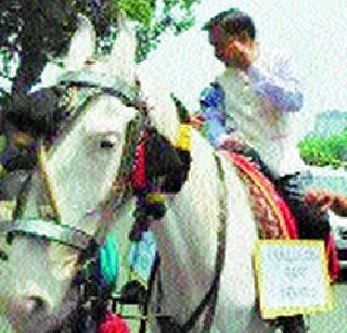Equestrian horse riding against equality | सम-विषमविरुद्ध खासदाराची घोडेस्वारी