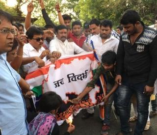 MNS workers torched Vidarbha flag | मनसे कार्यकर्त्यांनी जाळला विदर्भाचा झेंडा