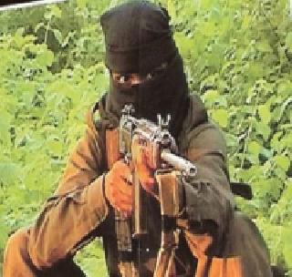 Militant killed, 12 boar rifles seized in encounter | चकमकीत जहाल नक्षलवादी ठार, १२ बोअर रायफल जप्त