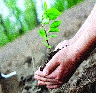 Lakshadgapar tree was planted! | वृक्षलागवड झाली लक्षाधीश!