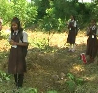 VIDEO: Students celebrate the banana tree in Akola | VIDEO : अकोल्यात विद्यार्थ्यांनी केला वृक्षांचा वाढदिवस साजरा
