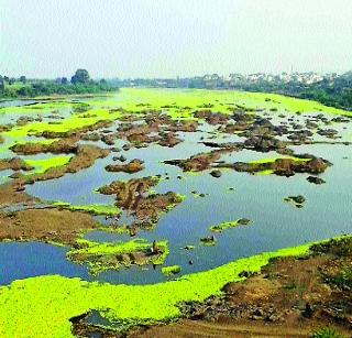 Pollution of Bhima, Mula-Mutha river | भीमा, मुळा-मुठा नदीला प्रदूषणाचा विळखा