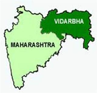 The letterhead of Manohar, Vidarbha support for the state of Vidarbha and independent Vidarbha | विदर्भ राज्यासाठी मनोहरांचे कोरे लेटरहेड,स्वतंत्र विदर्भाला पाठिंबा