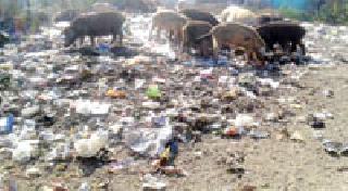 Cleanliness debacle in elections | निवडणूक रणधुमाळीत स्वच्छतेचा बोजवारा