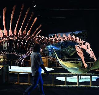 Scientists find signs of dinosaur found in China | शास्त्रज्ञांना चीनमध्ये सापडले डायनासोरचे ठसे