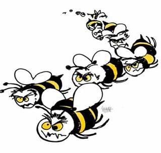 Bees attack farm laborers; Nine people injured | शेतमजुरांवर मधमाशांचा हल्ला; नऊ जण जखमी