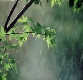 Pre-monsoon rainfall decreases by 5 percent | पूर्वमोसमी पावसात ५ टक्के घट