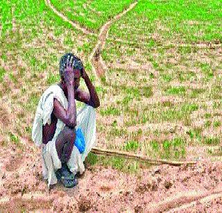 Debt waivers, farmers suicide and agitations | कर्जमाफी, शेतकरी आत्महत्या अन् आंदोलने