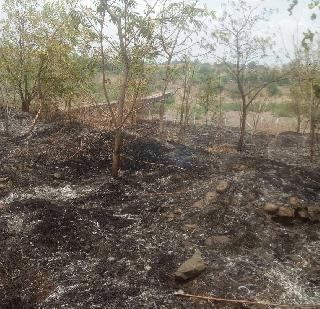 A fire in the environment of the forest area | पर्यावरण दिनी वनविभागाच्या रोप वाटिकेला आग