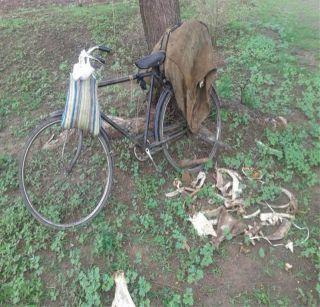 Grown grandsons found in Devgarh | देवगावात सापडले हाडे भरलेले पोते