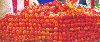 Tomato still costs Rs 75 per kg | टमाटा अजूनही तेजीत 75 रुपये किलो भाव