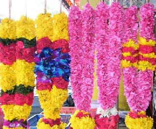 Nagpur municipal vault is empty, but flowers cost millions more | नागपूर मनपाची तिजोरी रिकामी, पण फुलांवर लाखोंचा खर्च