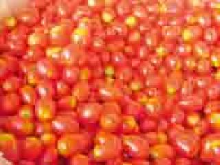 Tomatoes and Lentils 120 kg / kg | टमाटर आणि पत्ताकोबी १२० रुपये किलो