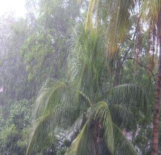Much of the rainy season in Mumbai, Konkan in 24 hours | 24 तासांत मुंबई, कोकणात मुसळधार पावसाचा अंदाज