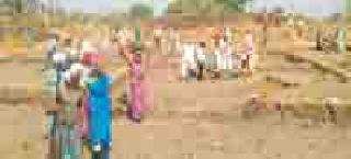 Bhandara tops in Manregga | मनरेगात भंडारा राज्यात अव्वल