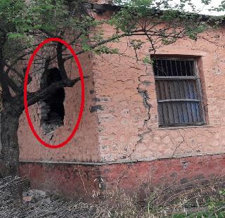 Mandwa school wall collapses | मांडवा शाळेची भिंत कोसळली