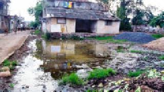 The climax of uncleanness in the village of Dhadi; Health hazard | धाडी गावात अस्वच्छतेचा कळस; आरोग्य धोक्यात