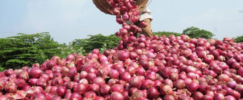 Free the way to subsidy for onion growers | कांदा उत्पादकांच्या अनुदानाचा मार्ग मोकळा
