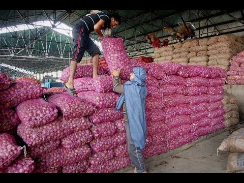 In Solapur Bazar Samiti, onion imports doubled, but prices declined | लॉकडाऊनची अनावश्यक काल्पनिक भीतीने सोलापुरात कांद्याची आवक दुपटीने वाढली