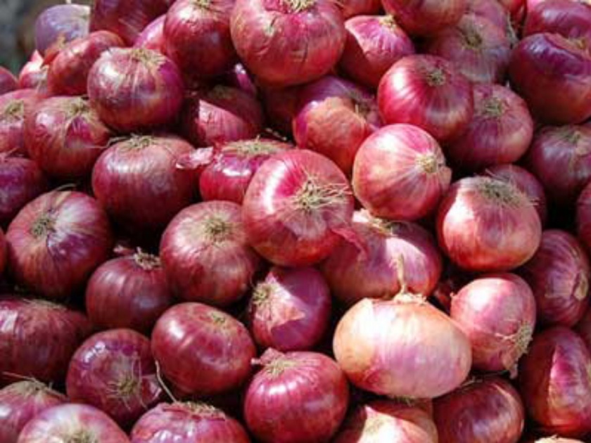 production of onion reduces due to heavy rain | कांद्याला अतिवृष्टीचा फटका ; दर पुन्हा कडाडले