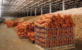 The demand for white onion increased, the farmers were dry because the prices were getting | पांढऱ्या कांद्याची मागणी वाढली, भाव मिळत असल्याने शेतकरी सुखावले