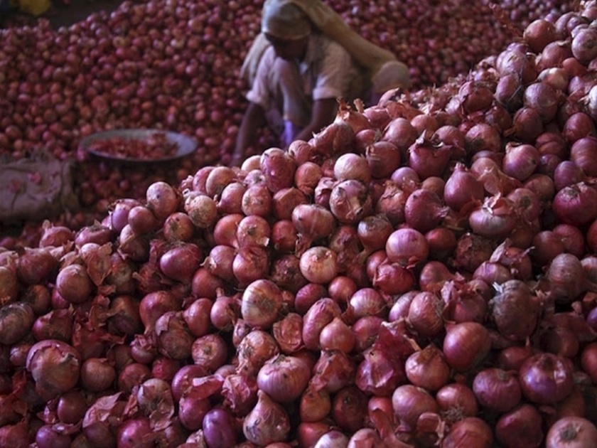 onions worth rs 100 crore at ports after modi government bans export | बंदरांवर निर्यातीच्या प्रतीक्षेत असलेल्या 100 कोटींच्या कांद्याचं काय करायचं? 