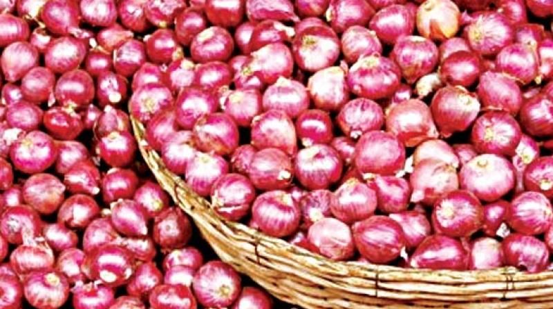 Onion prices fall after export ban | निर्यातबंदीनंतर कांद्याच्या किमतीत घसरण