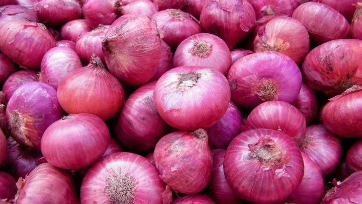 Tears in the eyes of farmers brought by onion | कांद्याने आणले शेतकऱ्यांच्या डोळ्यात अश्रू