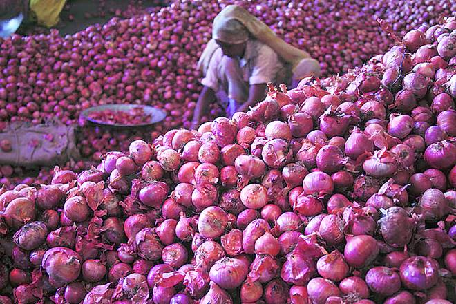 Government withdraws decision on import of onion from Pakistan | पाकमधून कांदा आयातीच्या निर्णयावर सरकारची माघार