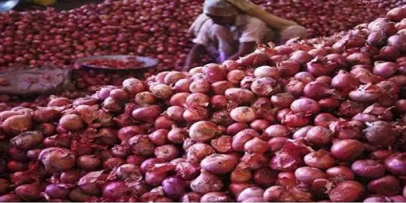 Onion is expensive in Nagpur! Crop damaged by rain | नागपुरात कांद्याची फोडणी महाग! पावसामुळे पीक खराब