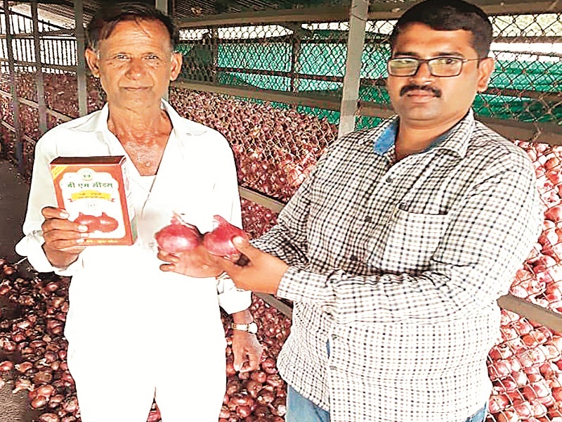 Grassroot Innovator: Onion products, which give more yield on low cost, were discovered by Rahuri farmer | ग्रासरूट इनोव्हेटर : राहुरीच्या शेतकऱ्याने शोधले कमी खर्चात अधिक उत्पादन देणारे कांद्याचे वाण