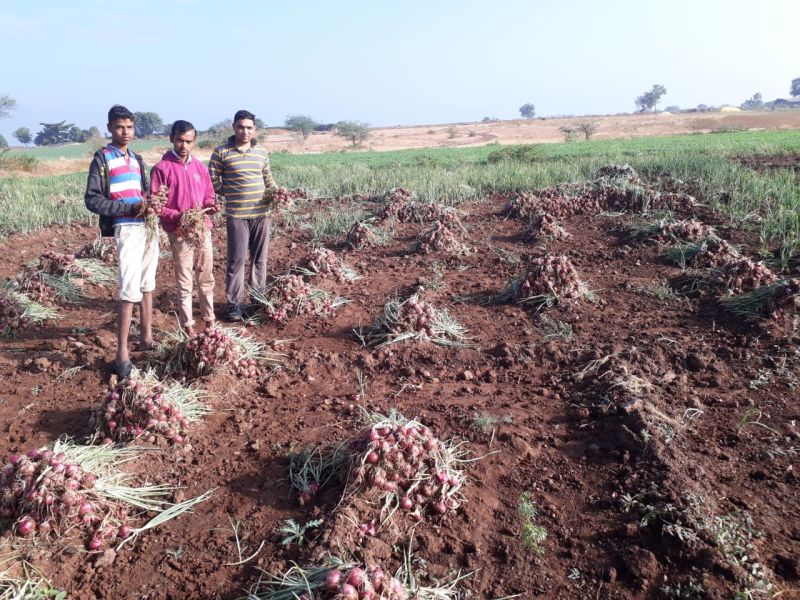 Demand for granting one thousand rupees for remaining summer onions | शिल्लक उन्हाळी कांद्याला एक हजार रूपये अनुदान देण्याची मागणी