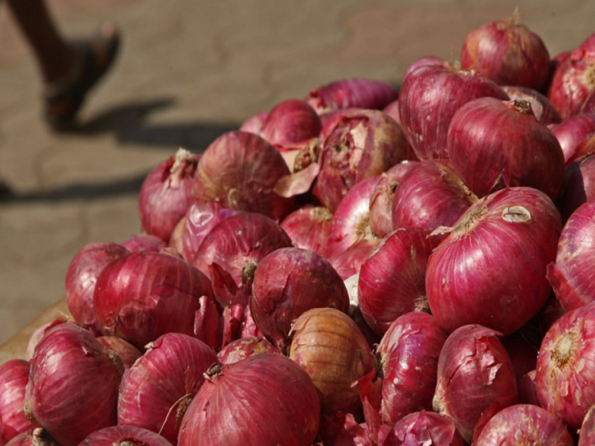 gujarat 2000 metric tonnes of white onion will go abroad during export ban in maharashtra | महाराष्ट्रात निर्यातबंदी असताना गुजरातचा २००० मेट्रिक टन पांढरा कांदा परदेशात जाणार