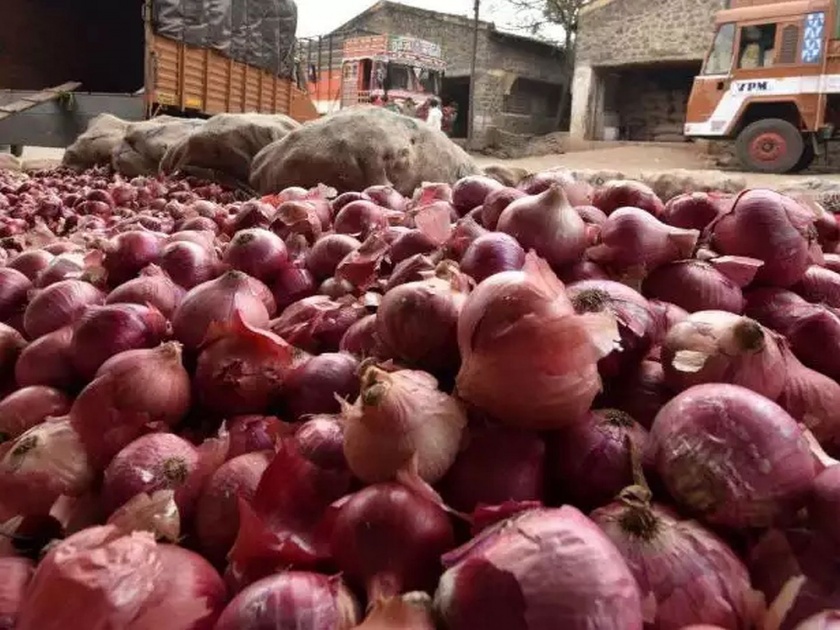 onion buying center started in nashik and nagar | नाशिक, नगरमध्ये कांदा खरेदी केंद्र सुरू