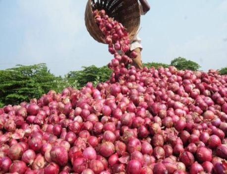 After the export ban 250 containers of 7000 tonnes of onion stranded at JNPA port were dispatched | निर्यातबंदीनंतर जेएनपीए बंदरात सात हजार टन कांद्याचे अडकून पडलेले २५० कंटेनर रवाना 