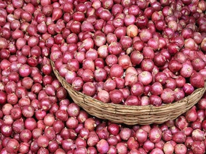 Government decides to import onions from Turkey | पेट्रोलपेक्षा कांदा महाग; तुर्की तब्बल 11 हजार टन कांदा पाठवणार