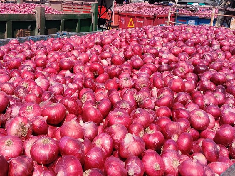 Onion arrivals fall, prices fall again; Export duty levied on market yard in Pune | Pune: कांद्याची आवक घटली, भावात पुन्हा घसरण; निर्यात शुल्काची पुण्यातील मार्केट यार्डाला झळ
