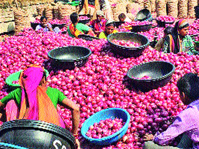 Lasalgaon onion prices fall | लासलगावी कांदा दरात घसरण