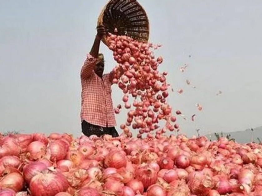 Export of 99 thousand tons of red onion allowed to six countries; | सहा देशांमध्ये ९९ हजार टन लाल कांद्याच्या निर्यातीस परवानगी; निर्णय नवा की जुनाच?, याची चर्चा