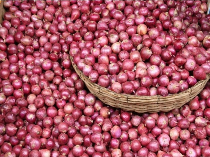 As soon as the export ban is lifted, onion prices increase by Rs. 500 | निर्यातबंदी हटताच कांदा भावात ५०० रूपयांनी वाढ