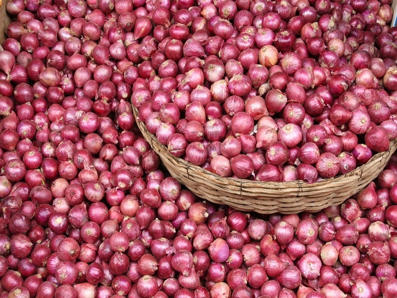 Release money from farming in four months; The production of 140 quintals of onion per quarter acre increased | चार महिन्यांत शेतीतील पैसा मोकळा; सव्वा एकरात १४० क्विंटल कांद्याच्या उत्पादनाने हुरूप वाढला