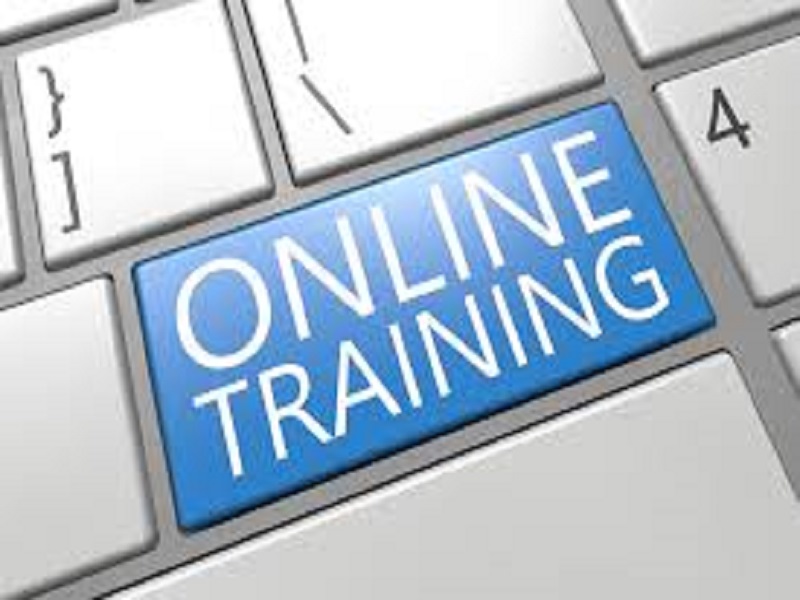 Institutions refuse online training of skills development | कौशल्य विकासच्या आॅनलाईन प्रशिक्षणास संस्थांचा नकार