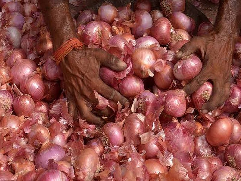 Water in the eyes of farmers who grow onions | कांदा उत्पादक शेतकऱ्यांच्या डोळ्यांत पाणी