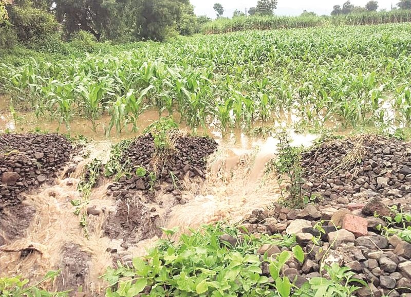 Even this year, farmers have to tread mud in the fields; Concerns over transportation of agricultural commodities too! | यंदाही शेतकऱ्यांना चिखल तुडवित जावे लागते शेतात; शेतमालाच्या वाहतुकीचीही चिंता !