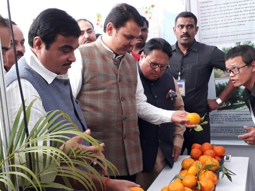  Great launch of World Orange Festival in Nagpur | नागपुरात वर्ल्ड ऑरेंज फेस्टिव्हलचा शानदार शुभारंभ, शेतक-यांच्या आर्थिक समृद्धीचा मार्ग तयार करण्याचा प्रयत्न