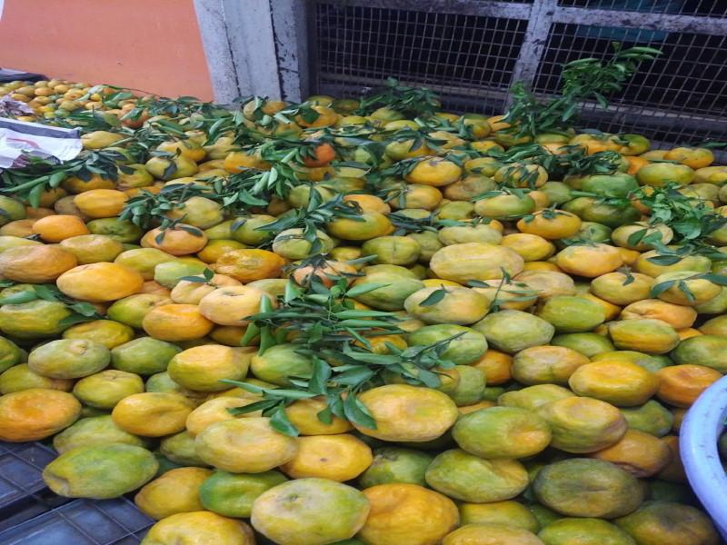 Nagpuri The first container of oranges goes to dubai | नागपुरी संत्र्यांचा पहिला कंटेनर वाशीहून दुबईला गुरुवारी झाला रवाना