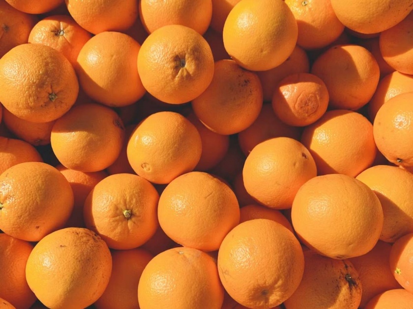 Now farmers can do the grading of oranges in the field itself; Machine developed by M-Giri Institute | आता शेतकऱ्यांना शेतातच करता येईल संत्र्याचे ग्रेडिंग; एम-गिरी संस्थेने विकसित केले मशीन