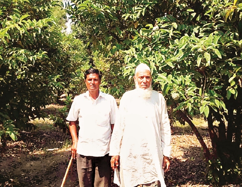 Orange garden blossomed in low water; The achievement of the farmer in the Nagar district | कमी पाण्यात फुलविली संत्रा बाग; नगर जिल्ह्यात शेतकऱ्याची कमाल